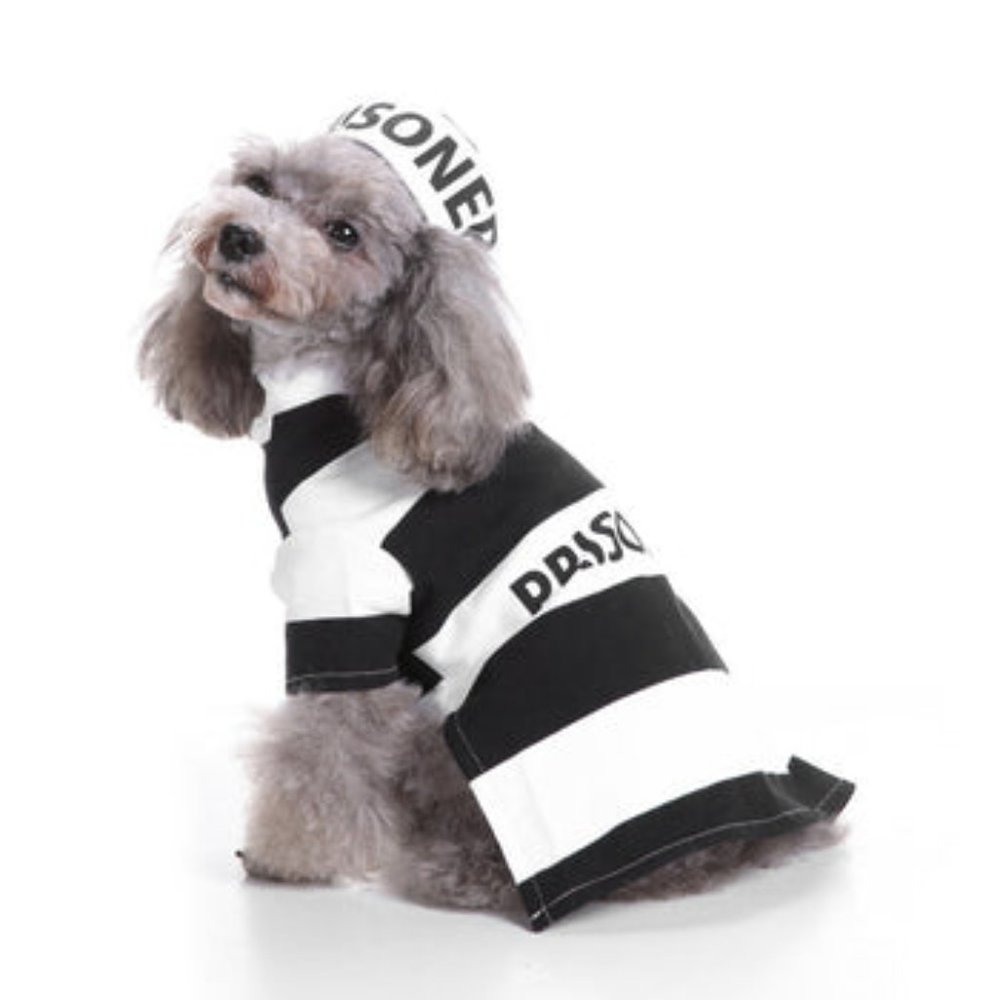 Pet Dog Pooch Prison Coat Hat Suit Clothes Dress Set Halloween Cosplay - Small - Picture 10 of 10